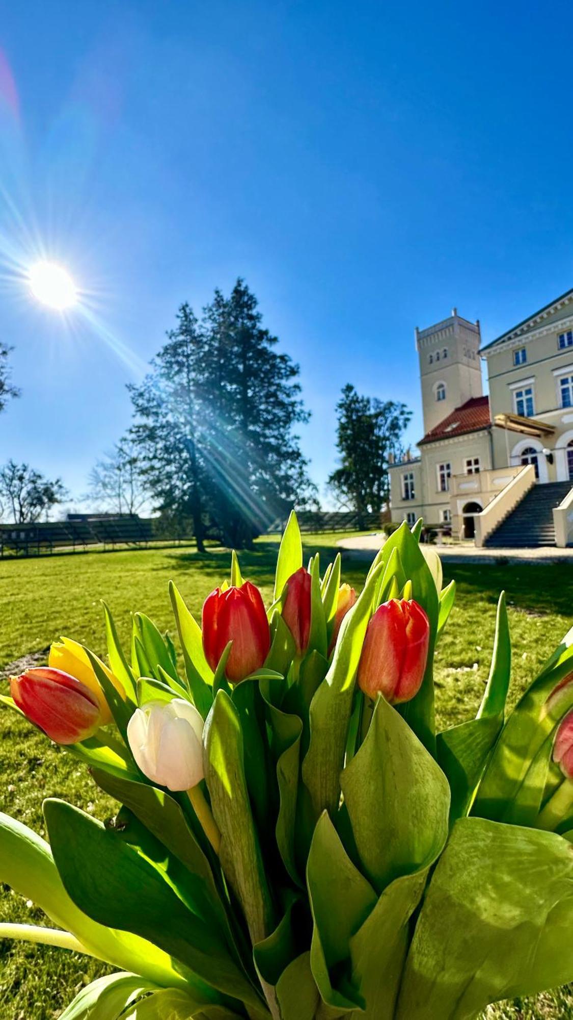 Hotel Spa Wieniawa Rekowo  Dış mekan fotoğraf
